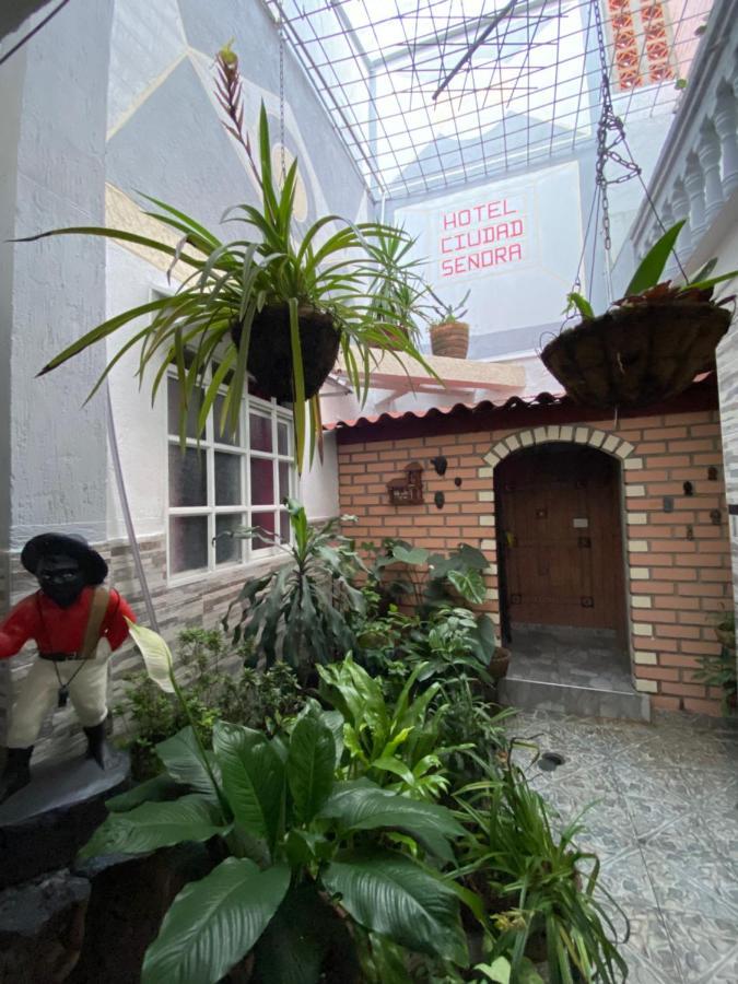 Hotel Ciudad Senora ブガ エクステリア 写真